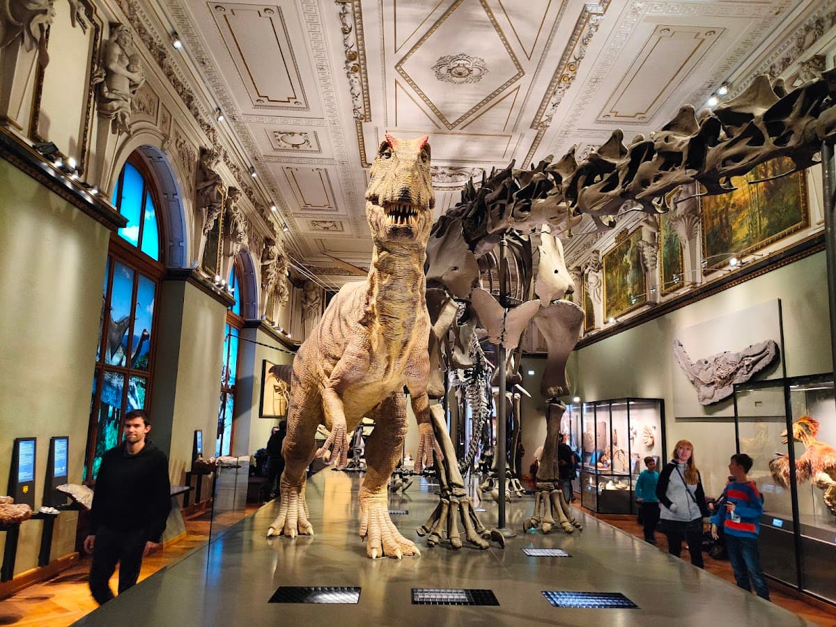 NHM — Naturhistorisches Museum Wien